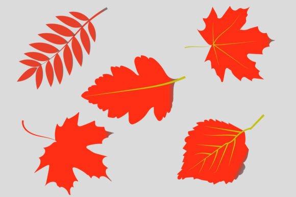 About Autumn Leaves Watercolor Clipart