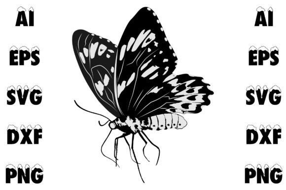 Butterfly Vector Art for Graphics and T-Shirt Designs